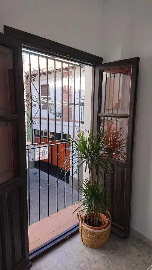 בית הארחה מלון גרנדה Casa Carmen